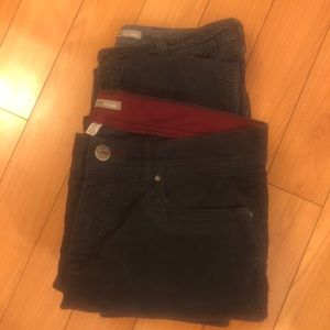 Horny Toad corduroy pants two pair